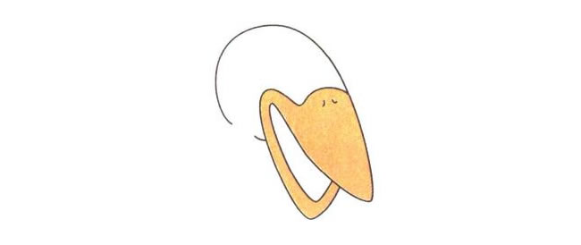 大嘴鸟儿童卡通画法步骤01