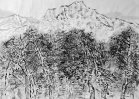 松树速写画法解析