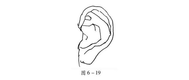 人物耳朵的速写方法