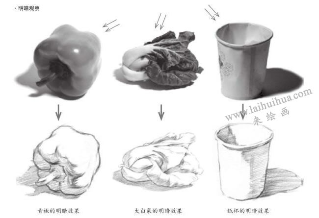 素描的明暗观察图示