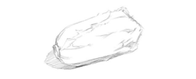 白菜明暗素描绘画方法步骤03