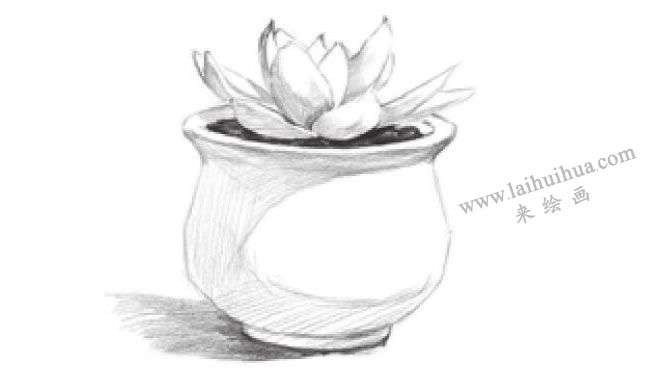 窗台上的多肉植物素描画法步骤06