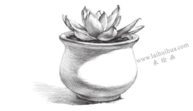 窗台上的多肉植物素描画法步骤08