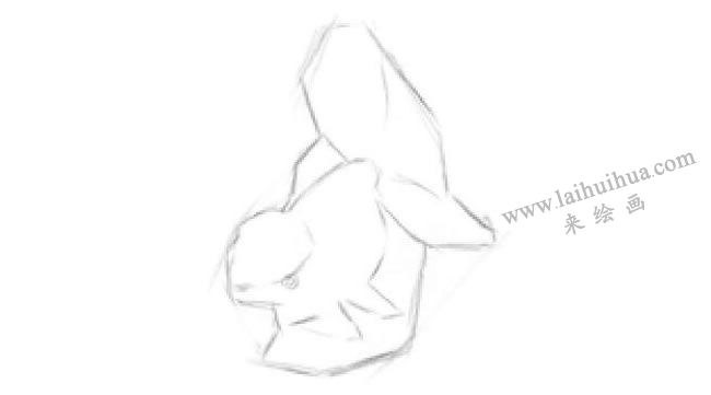 陶瓷金鱼素描画法步骤03