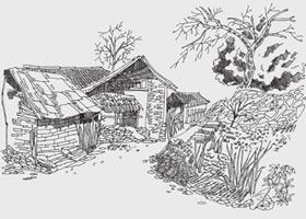 乡村小屋风景速写画法步骤