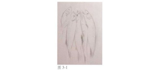 静物《鱼》水彩画法步骤01