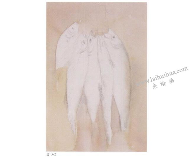 静物《鱼》水彩画法步骤02