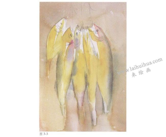 静物《鱼》水彩画法步骤03