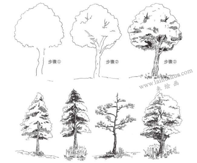 树叶的速写画法