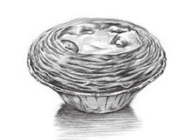 蛋挞的素描画法步骤