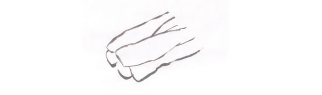 白菜儿童国画法步骤01