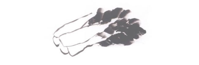 白菜儿童国画法步骤02