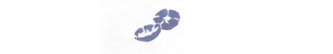 牵牛花儿童水墨画法步骤01