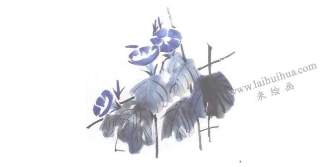 牵牛花儿童水墨画法步骤05