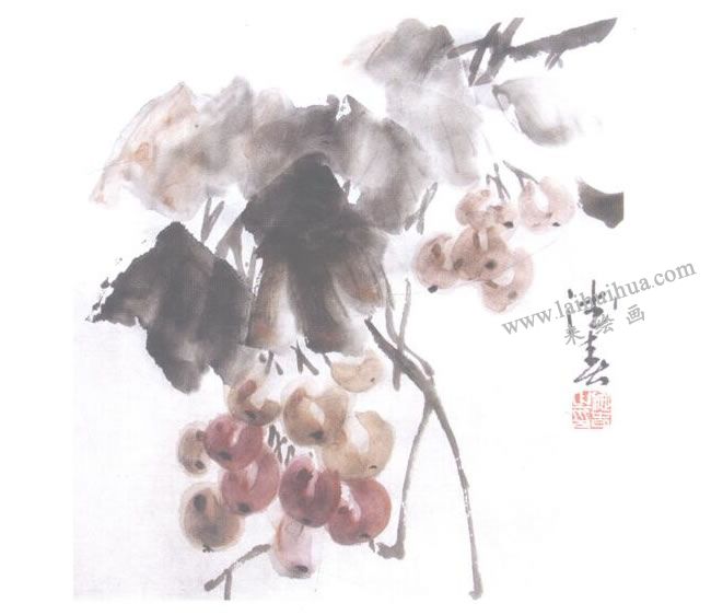 葡萄儿童水墨画法步骤06