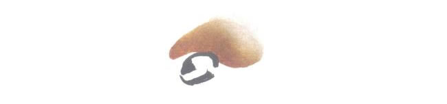 飞式麻雀儿童水墨画法步骤02