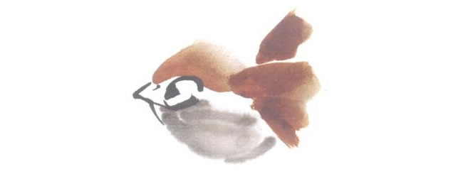 飞式麻雀儿童水墨画法步骤04