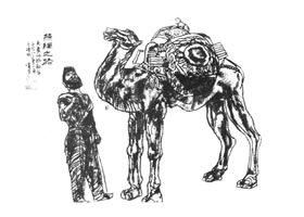 线描人物画（生态效应）法