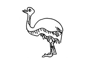 鸵鸟儿童画法（二）
