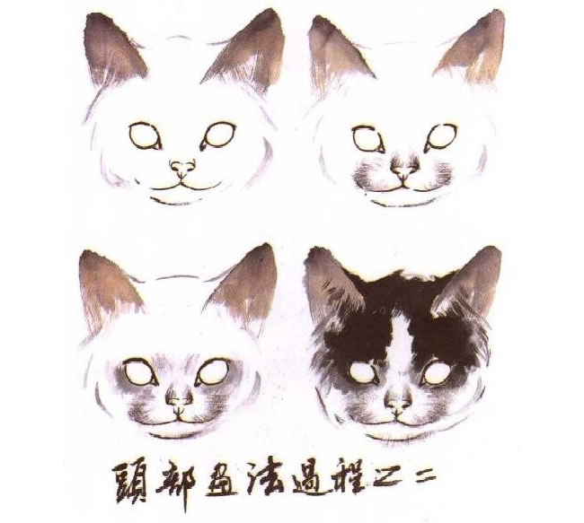 水墨画猫头部画法过程之二
