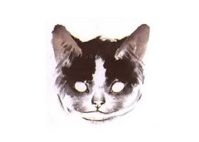 水墨画猫头部画法过程之二