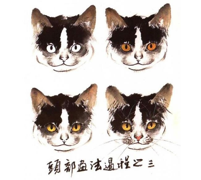 水墨画猫头部画法过程之三