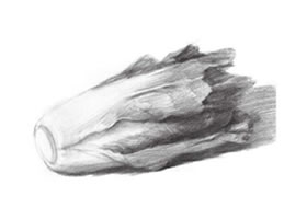青菜素描画法（一）