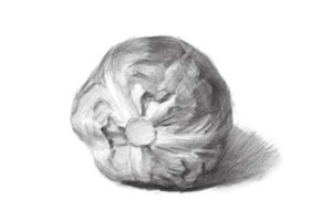 卷心菜素描画法