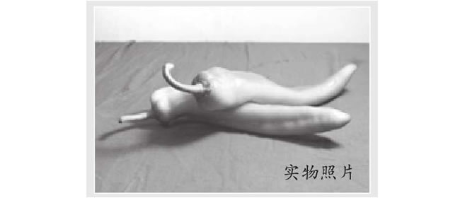 青椒素描画法（二）
