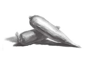 素描胡萝卜（二）