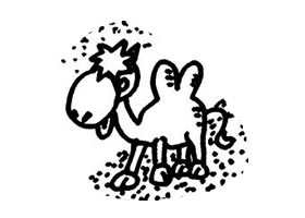 骆驼儿童画法（二）