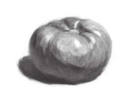 西红柿素描画法（二）