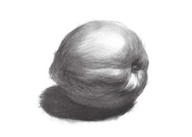 油桃的素描画法
