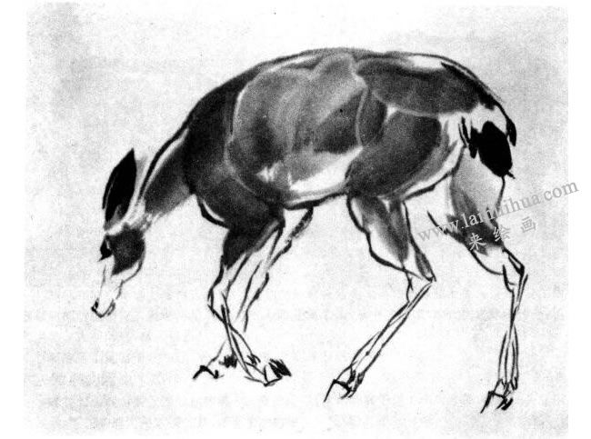 鹿的水墨画