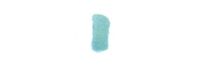 一瓶菊花儿童水墨画法步骤01