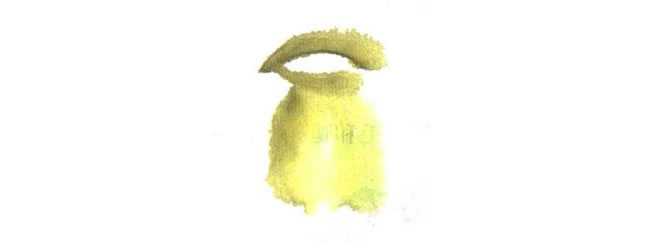绿鸟儿童水墨画法步骤02