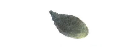 小老鼠儿童水墨画法步骤01