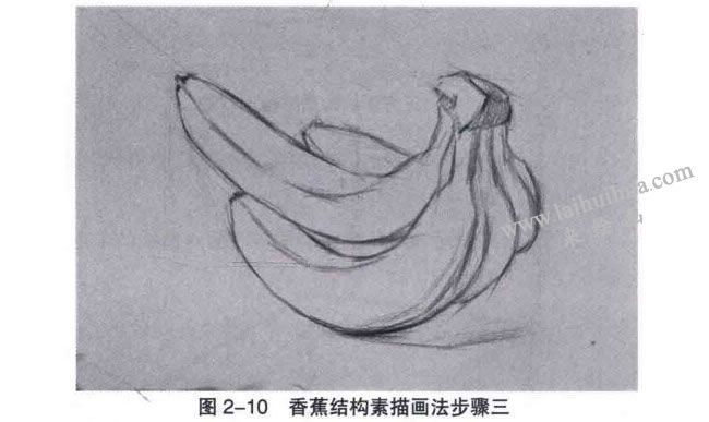 单个静物的结构素描画法步骤03