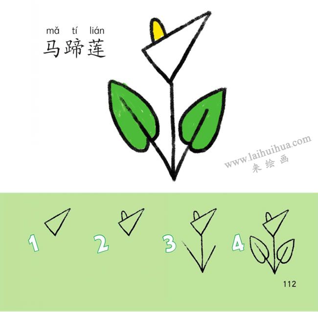 马蹄莲幼儿简笔画法步骤图解