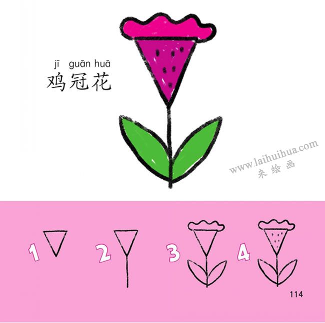 鸡冠花幼儿简笔画法步骤图解