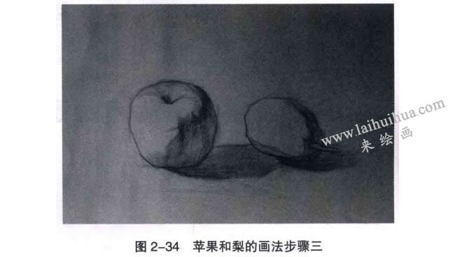 苹果和梨组合素描画法步骤03