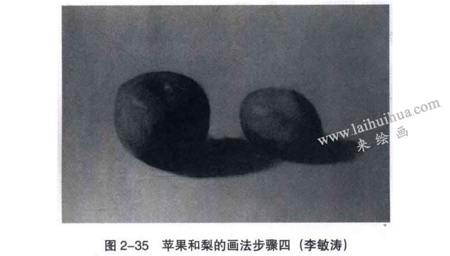 苹果和梨组合素描画法步骤04