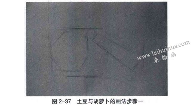 土豆与胡萝卜素描画法步骤01
