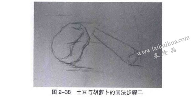 土豆与胡萝卜素描画法步骤02