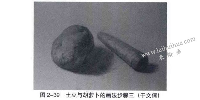 土豆与胡萝卜素描画法步骤03