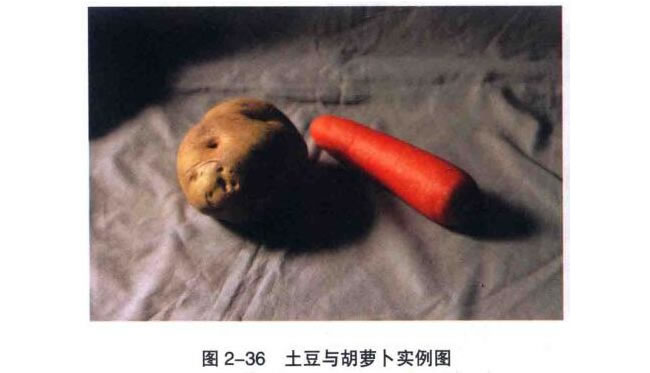 土豆与胡萝卜素描画法
