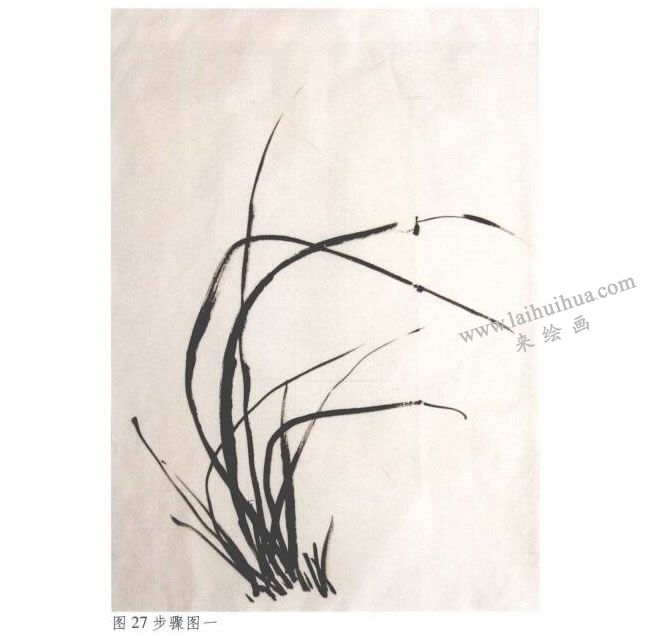 《墨兰》水墨画法步骤01