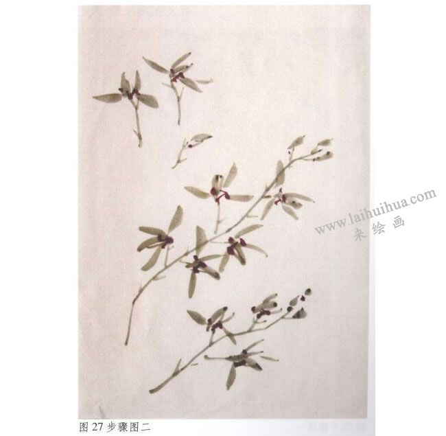 《墨兰》水墨画法步骤02