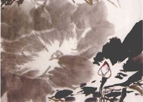 《墨荷》水墨画法步骤
