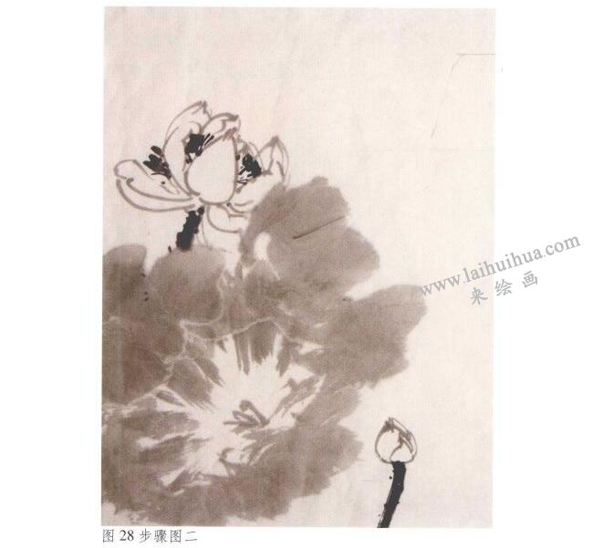 《墨荷》水墨画法步骤02